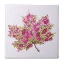 Recherche de chutes carreaux Nature