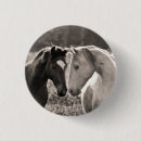 Zoek naar paarden buttons Romantisch