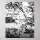Zoek naar witte boom posters Reflectie