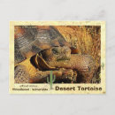 Recherche de extinction cartes postales Tortues