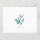 Zoek naar bird paradise briefkaarten Retro