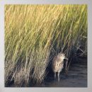Recherche de grasse posters Photographie