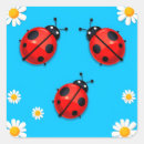 Recherche de coccinelle bleue autocollants Insectes