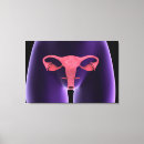 Recherche de organes sexuels posters Horizontal