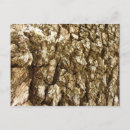 Recherche de motif texture cartes postales Texturé