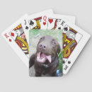 Recherche de chocolat jeux de cartes Dog
