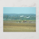 Recherche de 4 saisons cartes postales Printemps