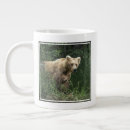 Recherche de ourson tasses Patte