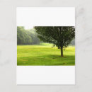 Recherche de arbre solitaire cartes postales Vert