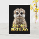 Recherche de suricate vœux cartes Mignon