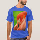 Zoek naar flamenco kleding Retro