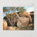 Recherche de diables cartes postales Australie