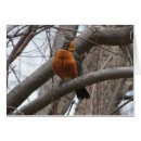 Recherche de bruit photographie Nature