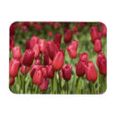 Recherche de appelé magnets Voyage
