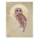 Recherche de aquarelle hibou posters Ornithologie