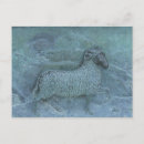 Recherche de moutons cartes postales Antique