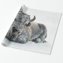Recherche de bison américain papier cadeau Faune