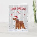 Recherche de irlandais noël cartes Vacances