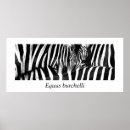 Recherche de zèbre posters Rayures