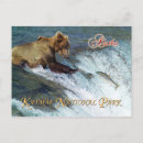 Recherche de parc national katmai cartes postales Saumon