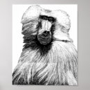 Zoek naar aap monkies posters Safari