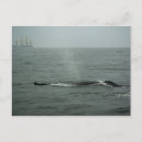 Recherche de océan atlantique cartes postales Photographe