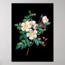 Zoek naar zwart wit roze posters Groen