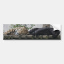 Recherche de leopard voiture autocollants Animaux