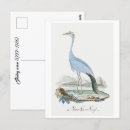 Zoek naar crane briefkaarten Kraan