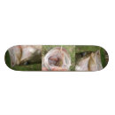 Recherche de basse skateboards Patin