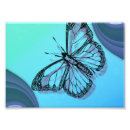 Recherche de silhouette papillon art Nature