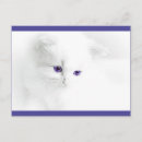 Recherche de yeux doux cartes postales Animal