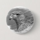Zoek naar roofvogels buttons Hawk