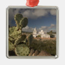 Recherche de tucson ornements Cactus