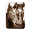 Recherche de sepia magnets Sépia