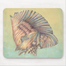 Recherche de coquillages colorés tapis souris Vie marine