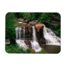 Recherche de occidental magnets Forêt