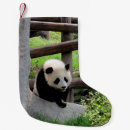 Recherche de animaux mignons bébé de chaussette de noël Panda