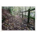 Recherche de promenade en parc Paysage