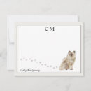 Recherche de de chat correspondances cartes Nom