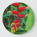 Recherche de heliconia Rouge