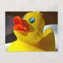 Recherche de canard en caoutchouc cartes postales À