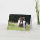 Recherche de poney shetland vœux cartes Étalon