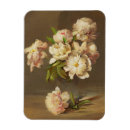 Recherche de pivoine magnets Botanique