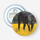 Zoek naar paarden bar drinkwaren Equine