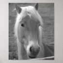 Recherche de black and white horse art Pony