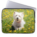 Zoek naar westie hoesjes West highland