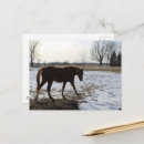 Recherche de chevaux neige cartes postales Équin