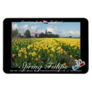 Recherche de paysage de tulipe magnets Pays bas