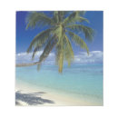 Recherche de palmiers blocsnotes Été